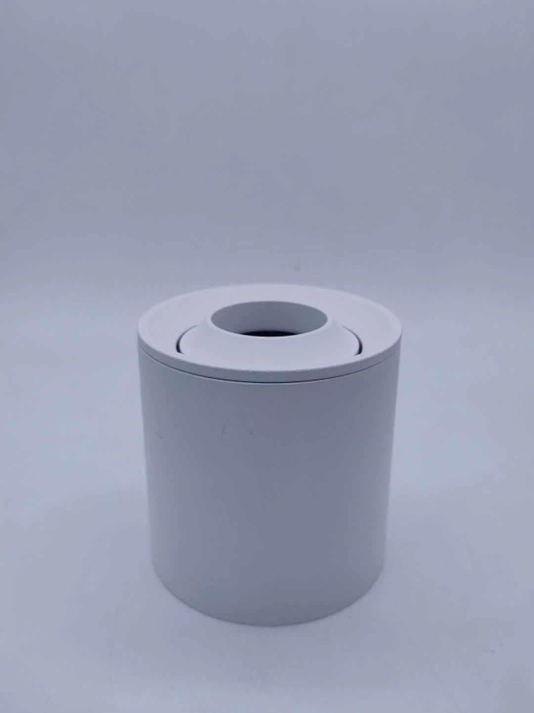 Đèn ốp trần chỉnh hướng Eris- Cosmos Lighting