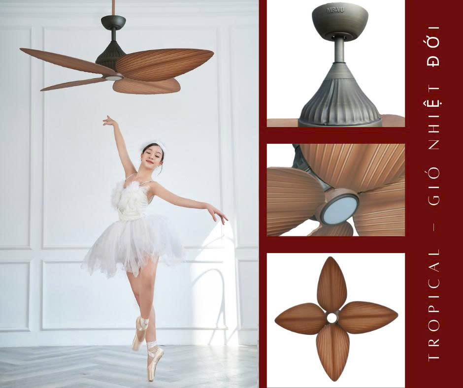 Quạt trần Tropical- Chiếc lá miền nhật đới Quạt trần Tropical- Chiếc lá miền nhật đới