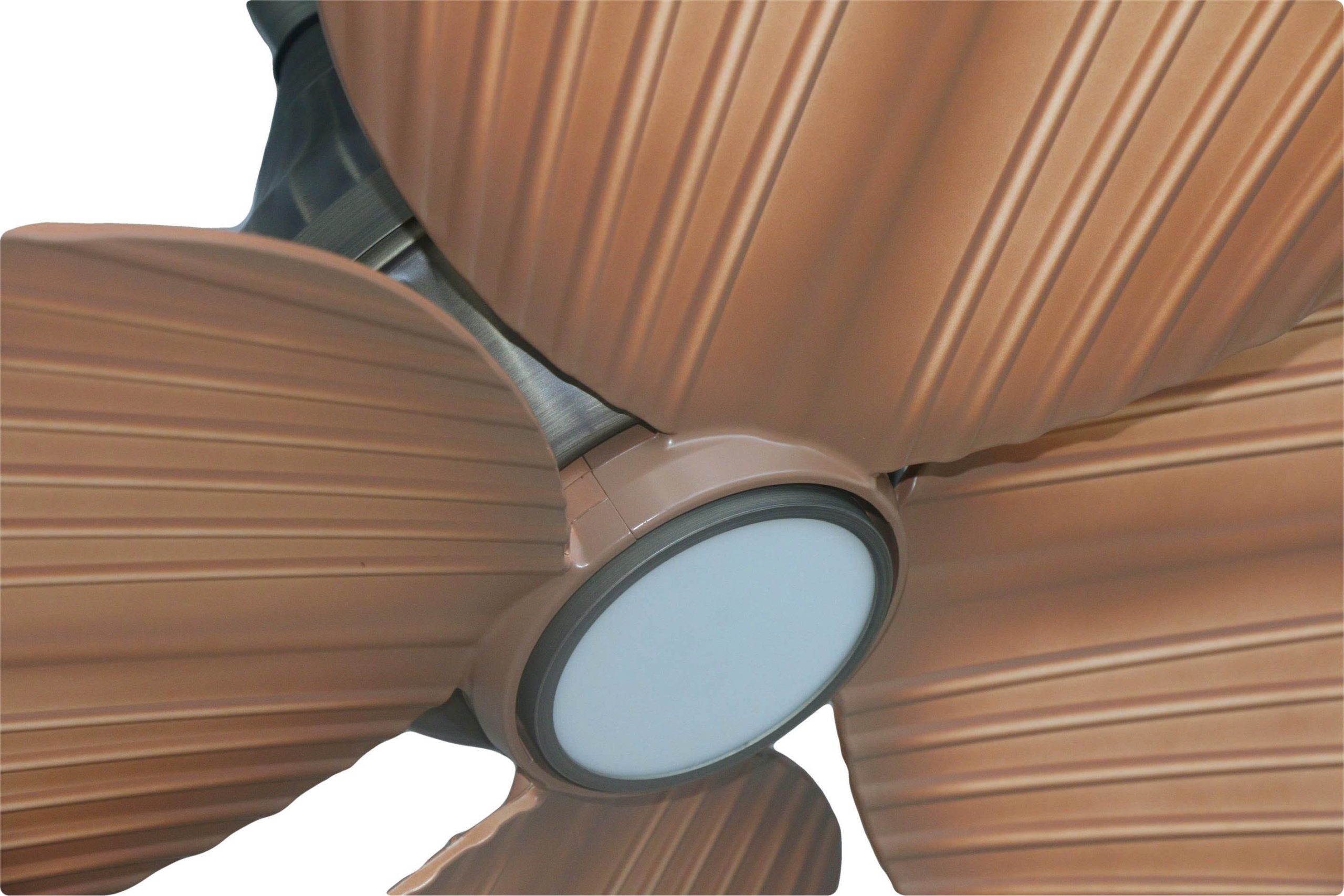 Quạt trần Tropical- Chiếc lá miền nhật đới