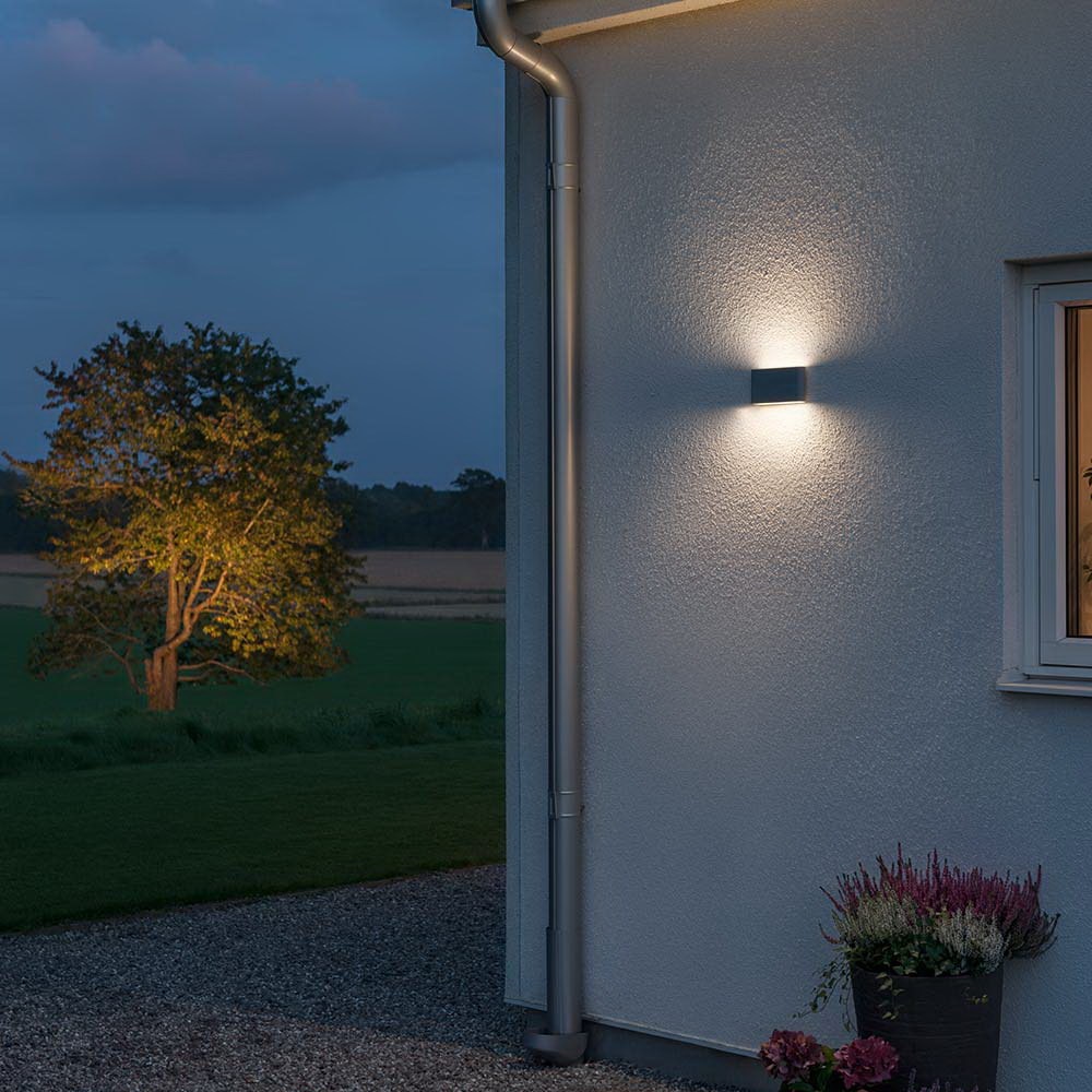 Đèn tường Hydra- Cosmos Lighting