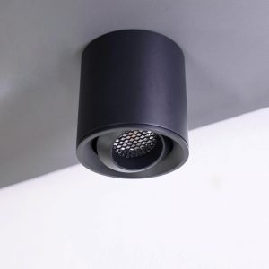 Đèn ốp trần chỉnh hướng ERIS | Cosmos Lighting