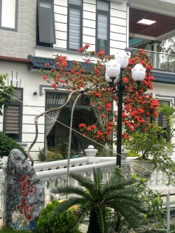 Đèn led Mỹ Tho | Đèn led Tiền Giang