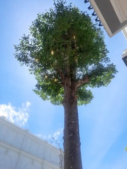 Đèn led Mỹ Tho