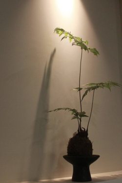 The Granite Cafe- Mỹ Phong The Granite Cafe- Mỹ Phong