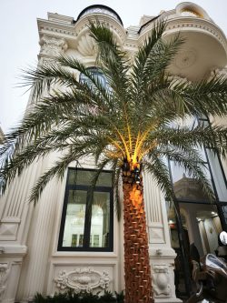 LED MIN- Đèn led, quạt trần & thiết bị điện cao cấp tại Mỹ Tho-Đồng Tháp LED MIN- Đèn led, quạt trần & thiết bị điện cao cấp tại Mỹ Tho-Đồng Tháp