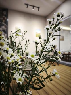 Led Min- Đèn led và Thiết bị điện cao cấp tại Mỹ Tho-Đồng Tháp The Granite Cafe- Mỹ Phong