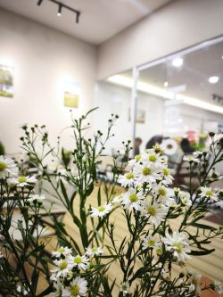 Led Min- Đèn led và Thiết bị điện cao cấp tại Mỹ Tho-Đồng Tháp The Granite Cafe- Mỹ Phong