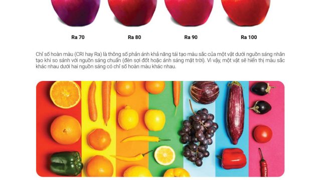 Đèn led cao cấp GS Lighting- Led Min